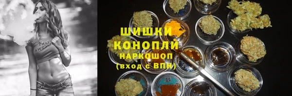 прущие грибы Арсеньев