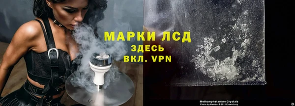 прущие грибы Арсеньев