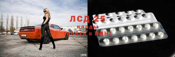 прущие грибы Арсеньев