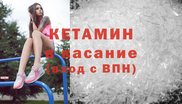 мяу мяу мука Аркадак
