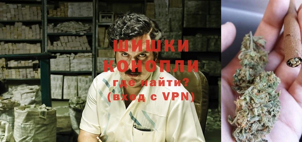 прущие грибы Арсеньев