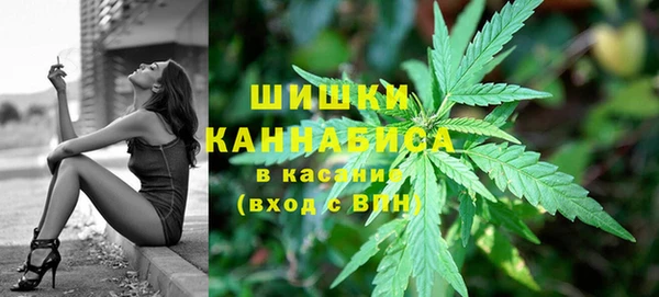 прущие грибы Арсеньев