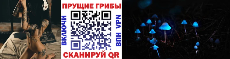 Псилоцибиновые грибы GOLDEN TEACHER  как найти закладки  Николаевск 